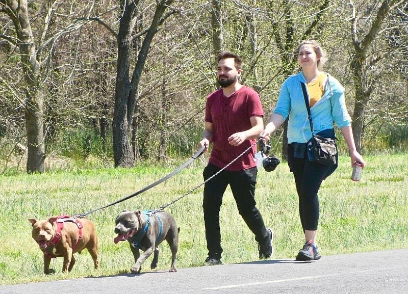 Two Rivers Park paths are wide enough for dog walkers to coexist with bike riders. (Special to the Democrat-Gazette/Marcia Schnedler)