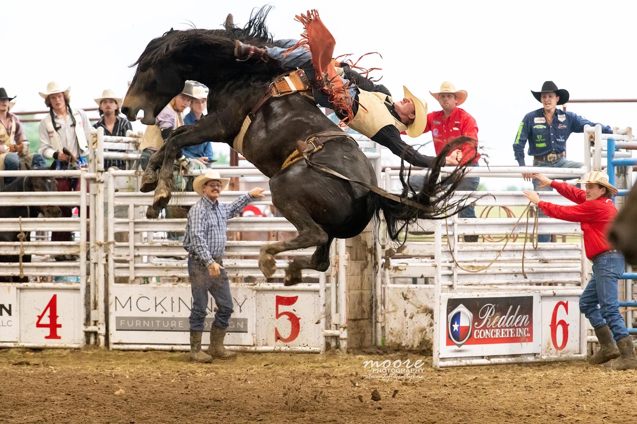 Rodeo to giddy up at fairground - Vimarsana News