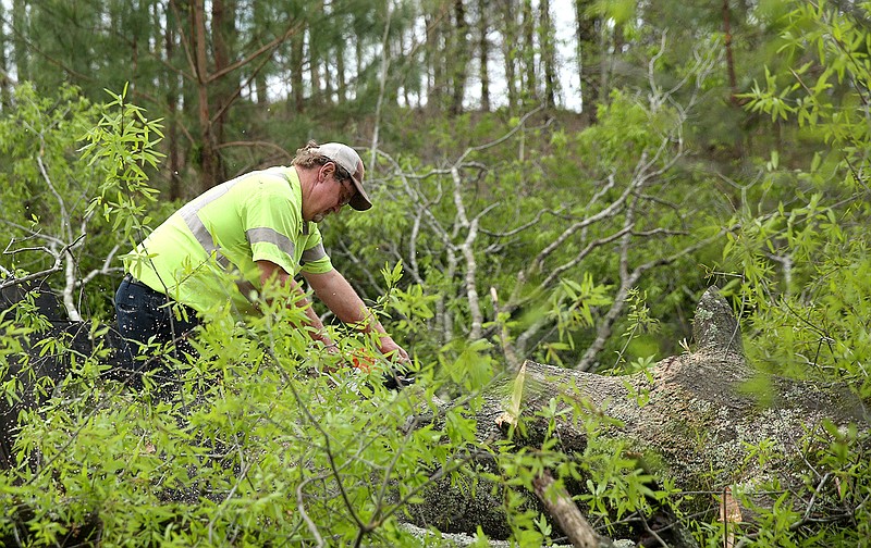 Tracy Neal, with the Faulkner County Road Department, uses a chainsaw to remove debris from Adams Lake Rd. near Conway on Tuesday, April 12, 2022 after a severe storm system moved through the area. (Arkansas Democrat-Gazette/Colin Murphey)