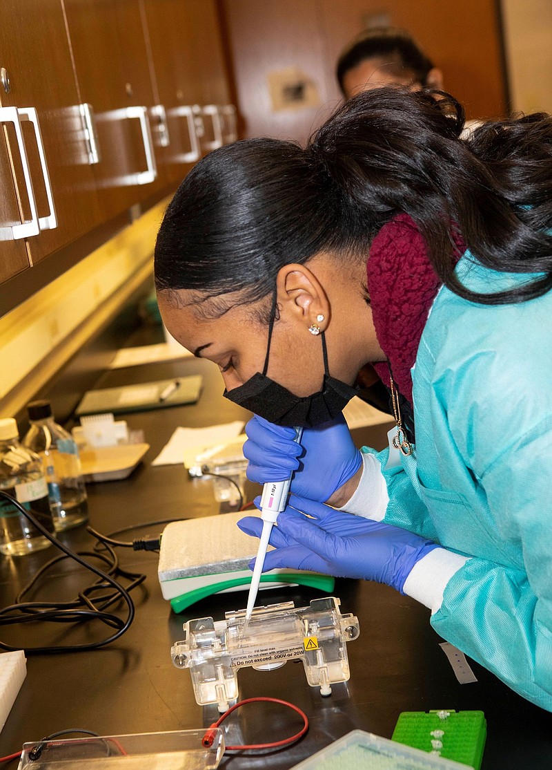 UAPB student Cynamon Gates loads a gel during a molecular diagnostic test. A senior, Gates has aspired to be a veterinarian since she was 5 years old. (Special to The Commercial/University of Arkansas at Pine Bluff)