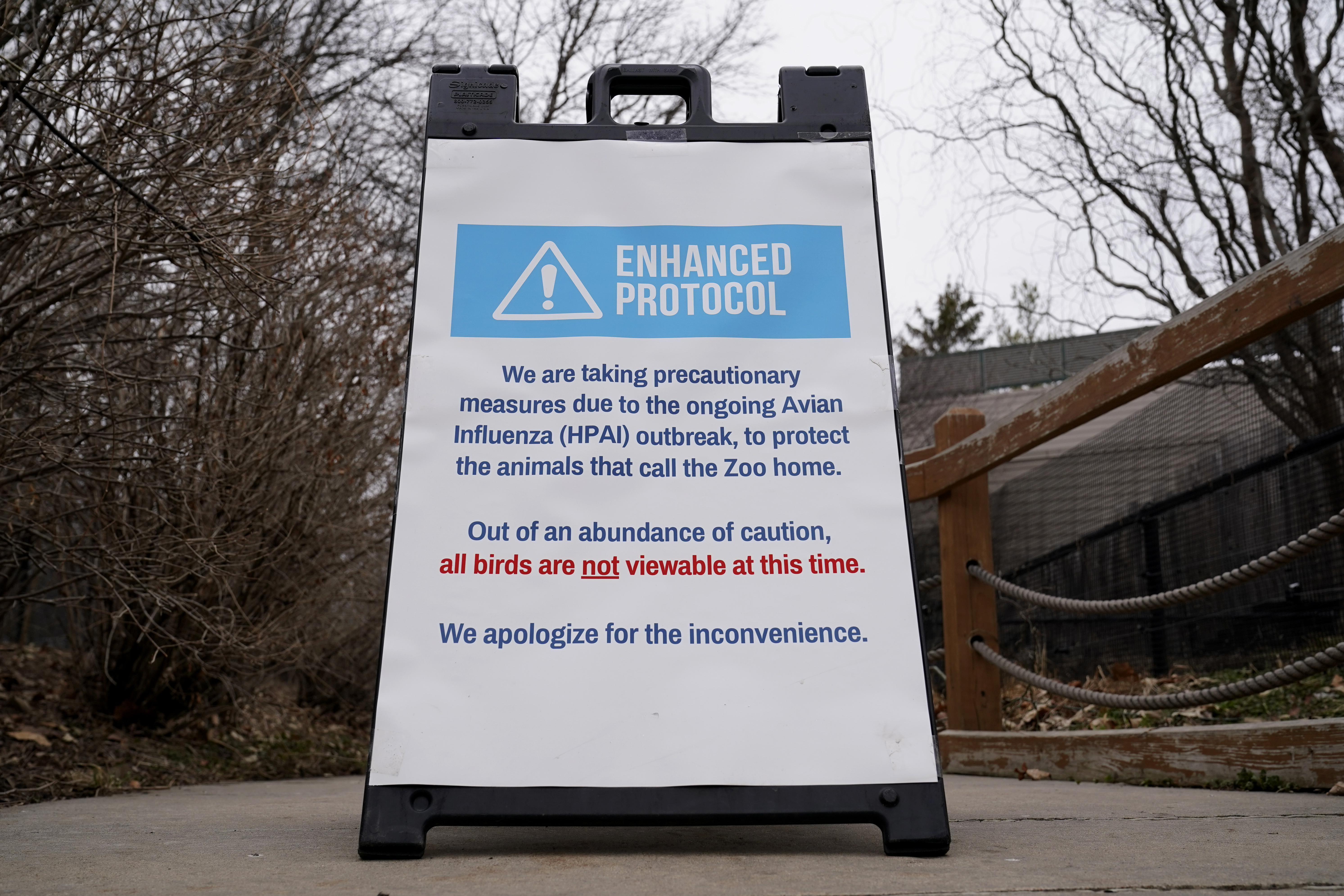 2 avian flu cases found at zoos, USDA reports - Vimarsana News