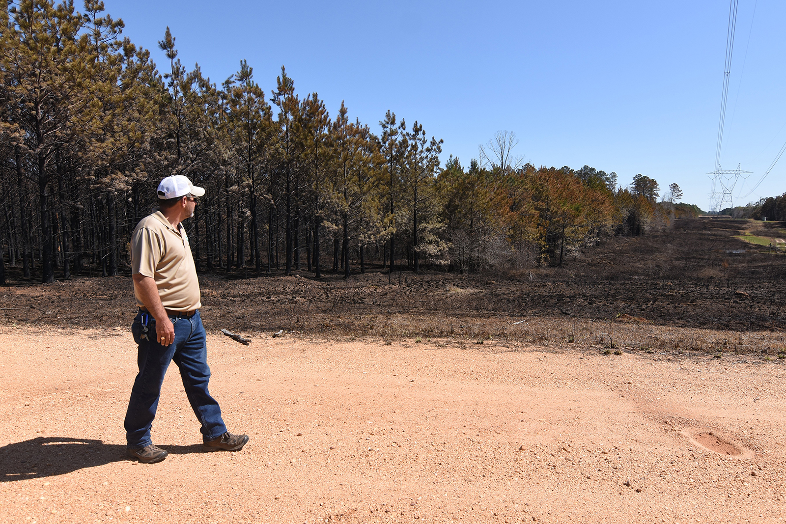 'Panic mode': Arkansas forest fire sends homeowners fleeing, as state sees increase in wildfires - Vimarsana News