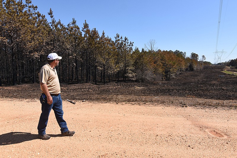 District forester John Cook looks out over an area Thursday, April 15, 2022 that was affected by the wildfire that occurred the previous Sunday in Grant County.
(Arkansas Democrat-Gazette/Staci Vandagriff)