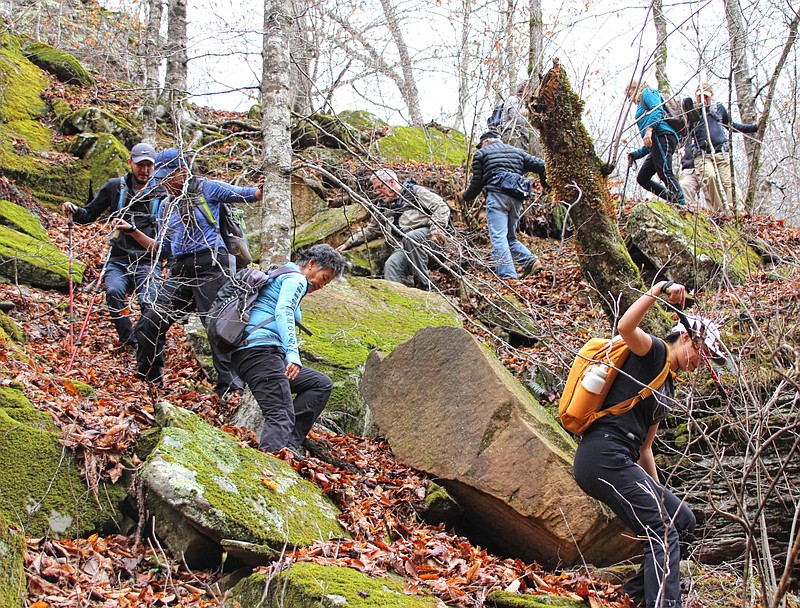 With a sheer bluff blocking what had been an easy route, hikers shimmy, scramble or slide downhill to the creek April 2 outing of the Takahik River Valley Hikers to Adkins Creek in the Upper Buffalo Wilderness of Newton County.
(Special to the Democrat-Gazette/Bob Robinson)