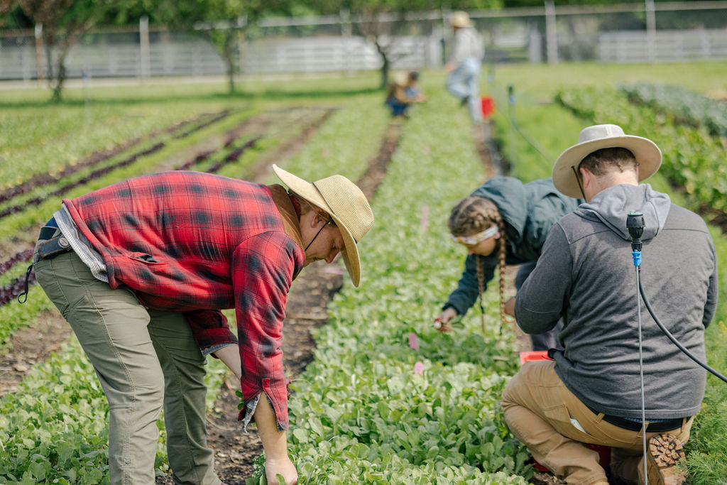 Center focuses on sustainable farming methods