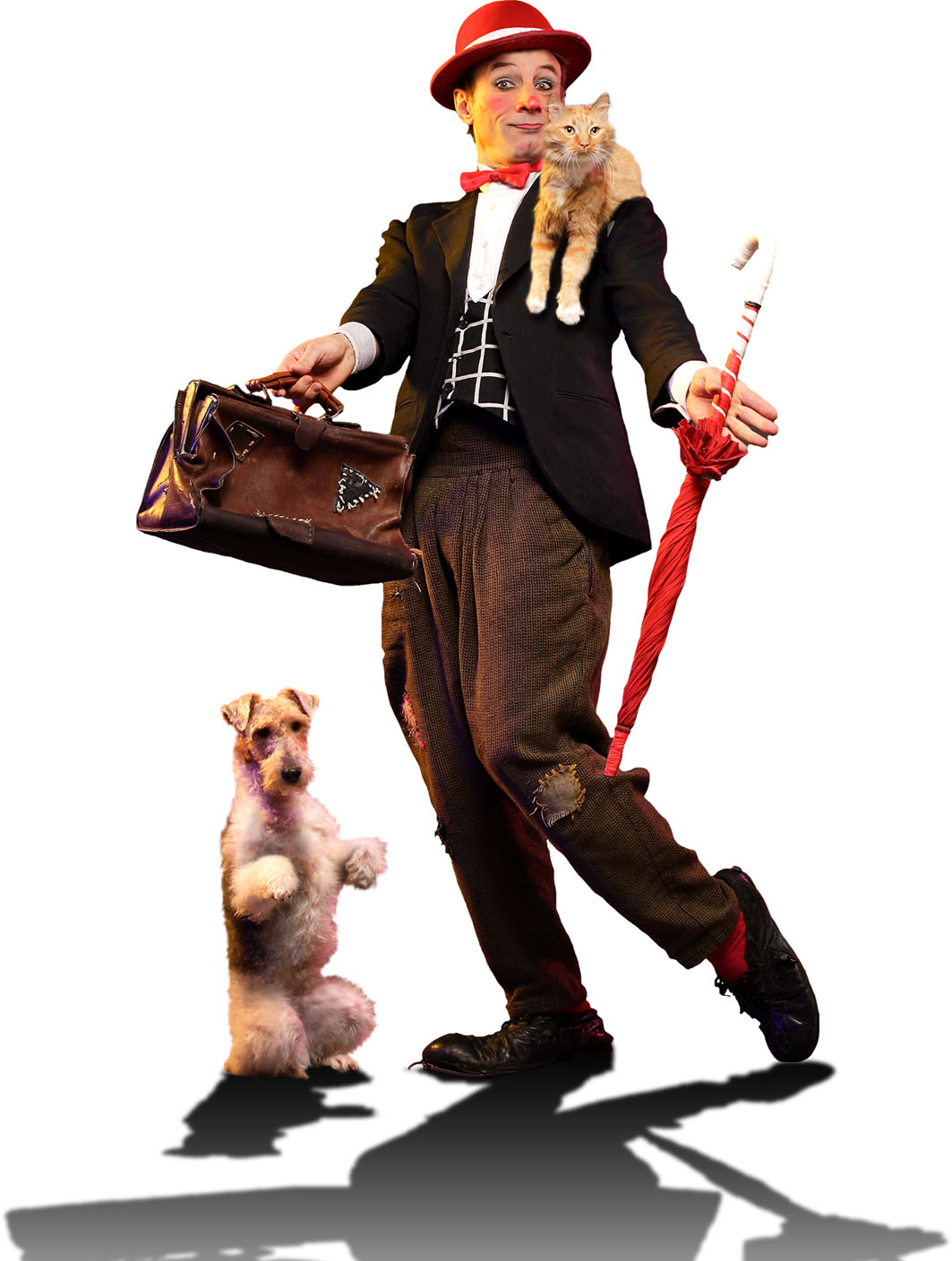 REVIEW: Popovich Comedy Pet Theater A Win For Kids - Vimarsana News