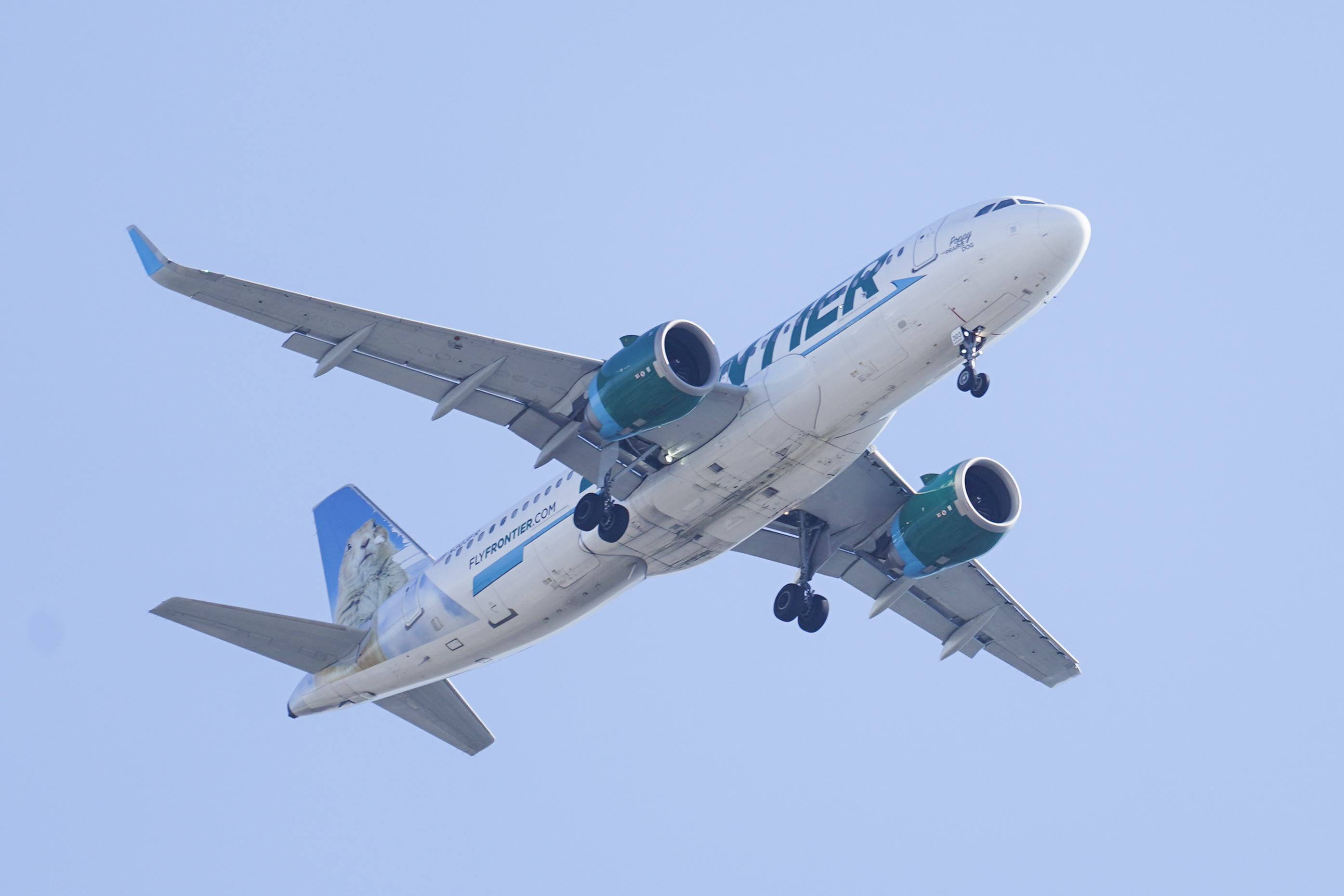 Spirit prefers Frontier bid over JetBlue - Vimarsana News