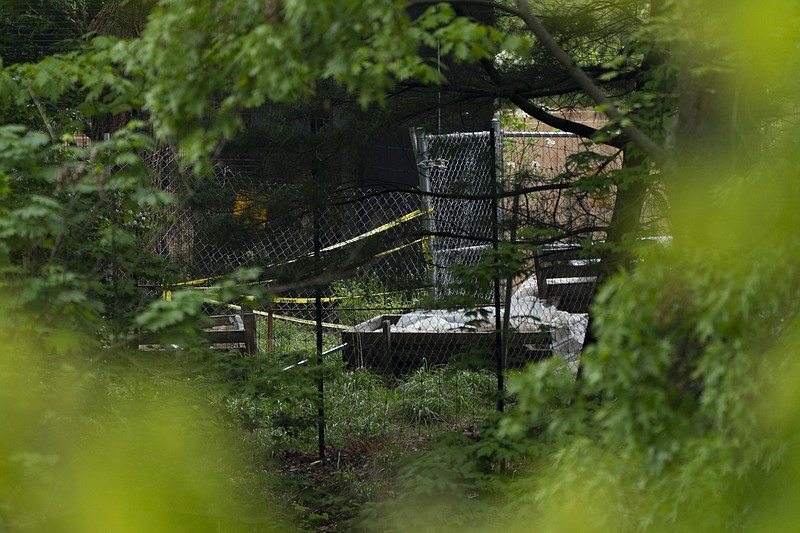 Fox chews through fence, kills 25 flamingos at National Zoo