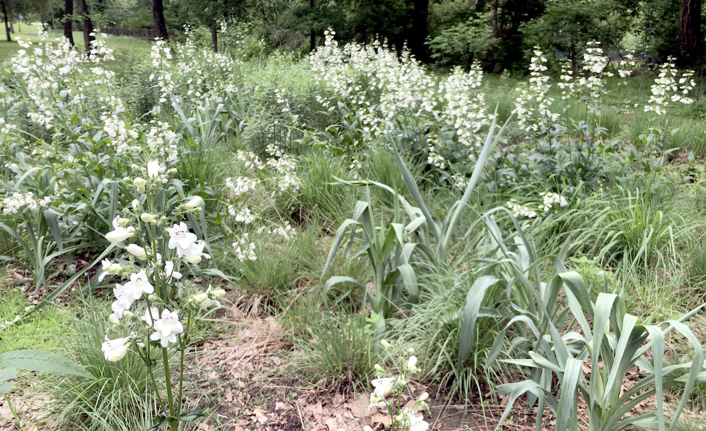 Mothering Matters hosts spring garden tour in Siloam Springs - Vimarsana News
