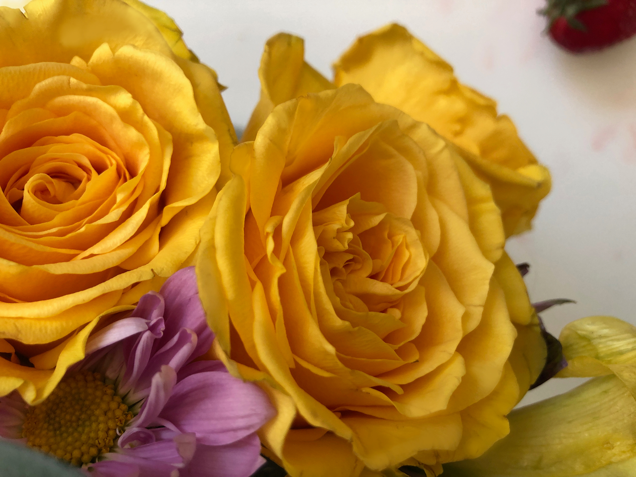 From Arkansas writing workshops to greenhouses, here's permission to grow in the middle of May - Vimarsana News