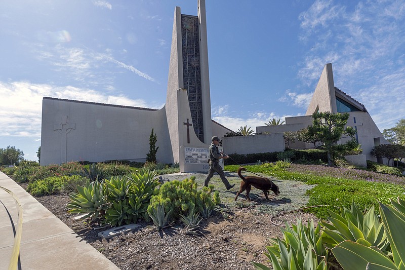 An Orange County Sheriff's Department K-9 unit checks the grounds at Geneva Presbyterian Church in Laguna Woods, Calif., Sunday, May 15, 2022, after a fatal shooting. (AP Photo/Damian Dovarganes)