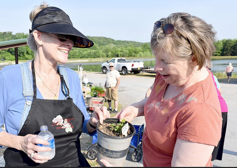 Bella Vista Garden Club member Jen Sheridan (left) helps Lenora Babb select a plant during the May plant sale at the club’s facility on U.S. 71. “This is a great program for raising money for our scholarships,” Garden Club President Pat Meyer said. “We’re hoping to have the two $4,000 scholarships this year, and actually I’m doing a $4,000 scholarship in memory of my mother.” The second day of the sale, canceled because of weather, has been rescheduled to 8-11 a.m. June 4. Information: bellavistagardenclub.com.

(NWA Democrat-Gazette/Rachel Dickerson)