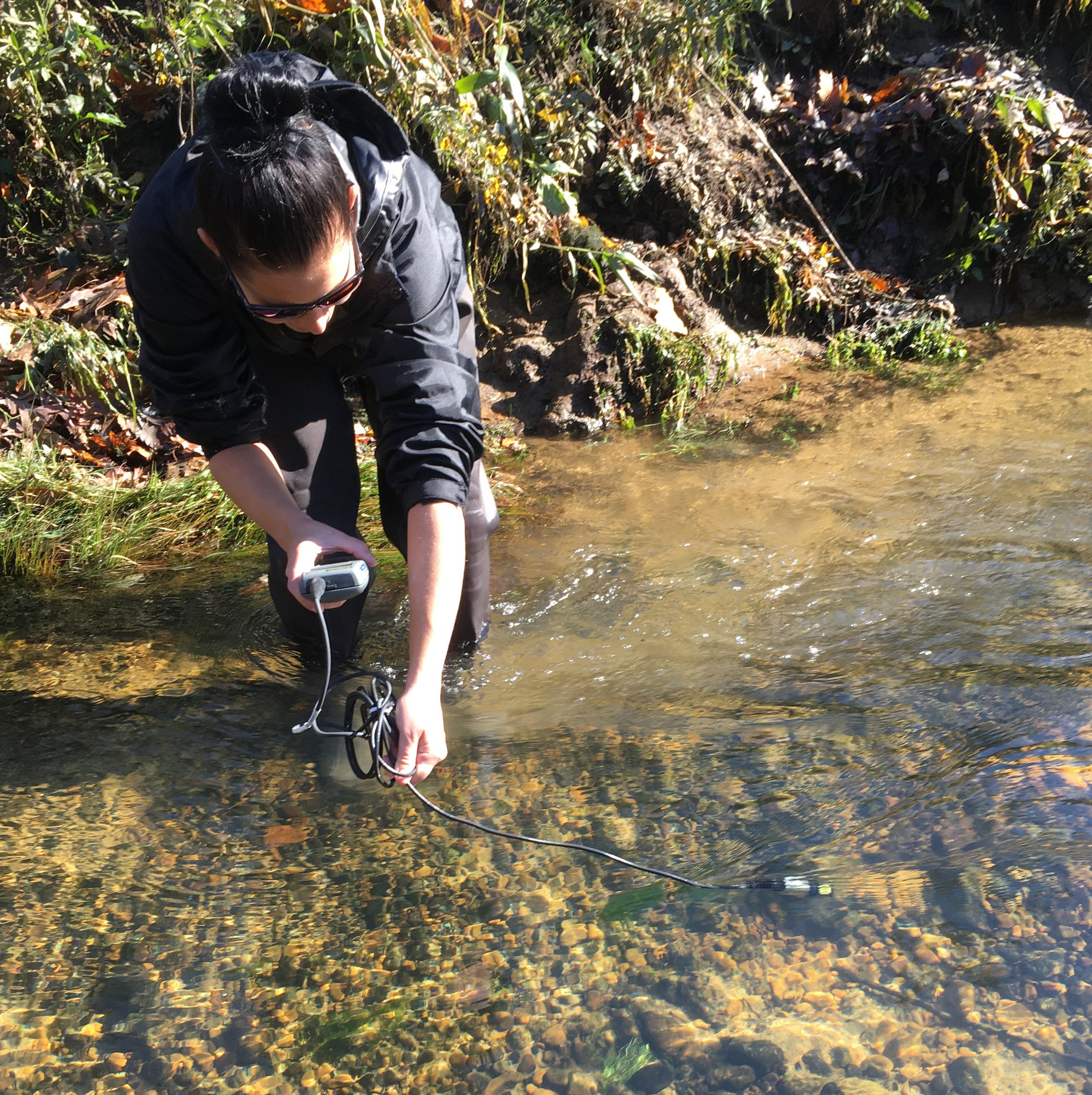 UAPB trout study advises agency