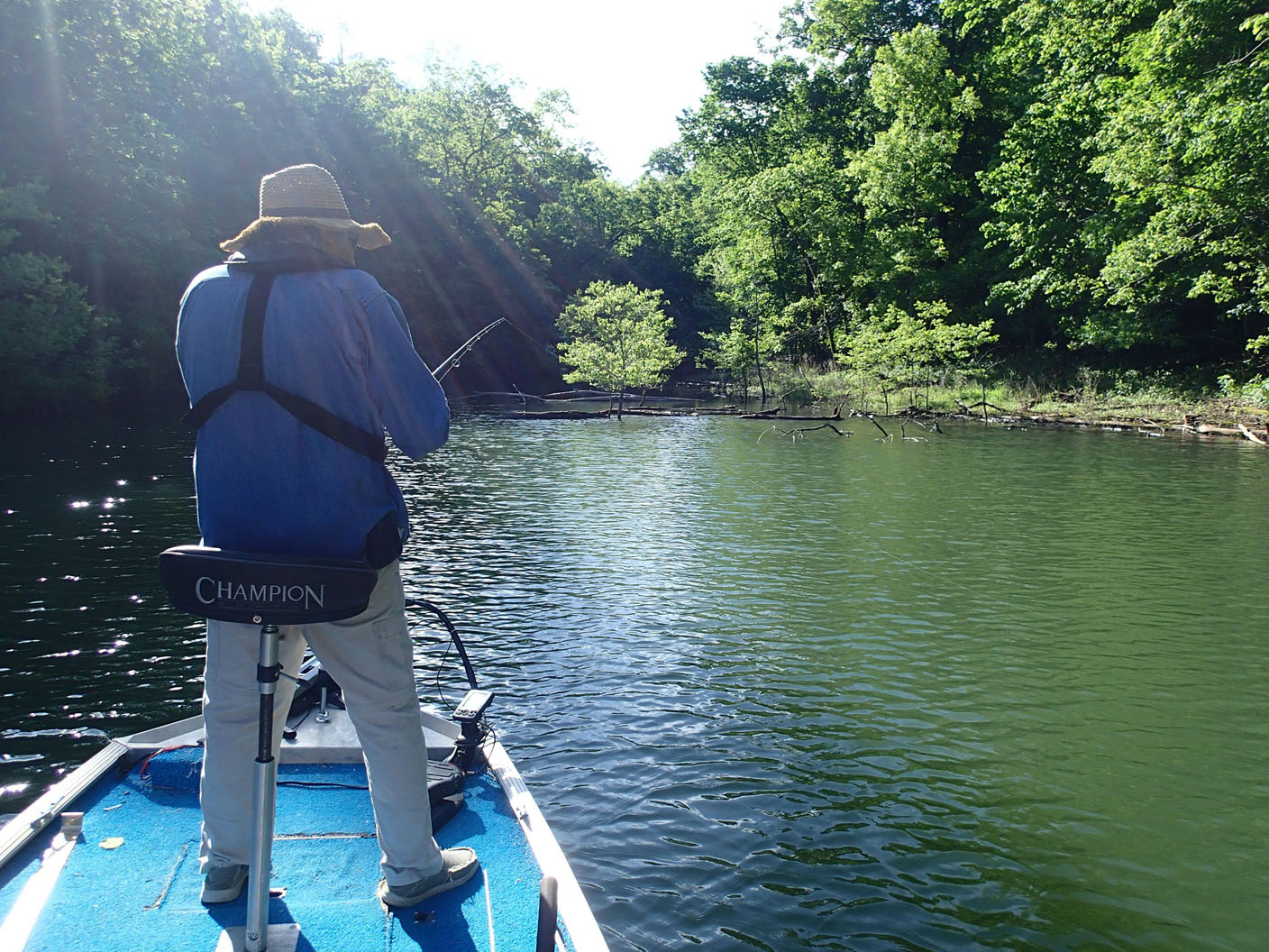 Fishing the flood - Vimarsana News