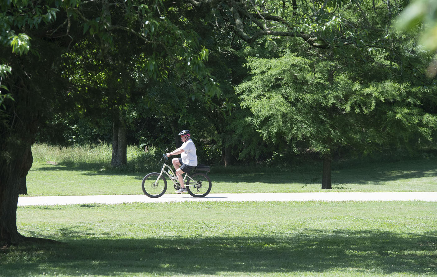 Panelists ponder future of Fayetteville's parks - Vimarsana News