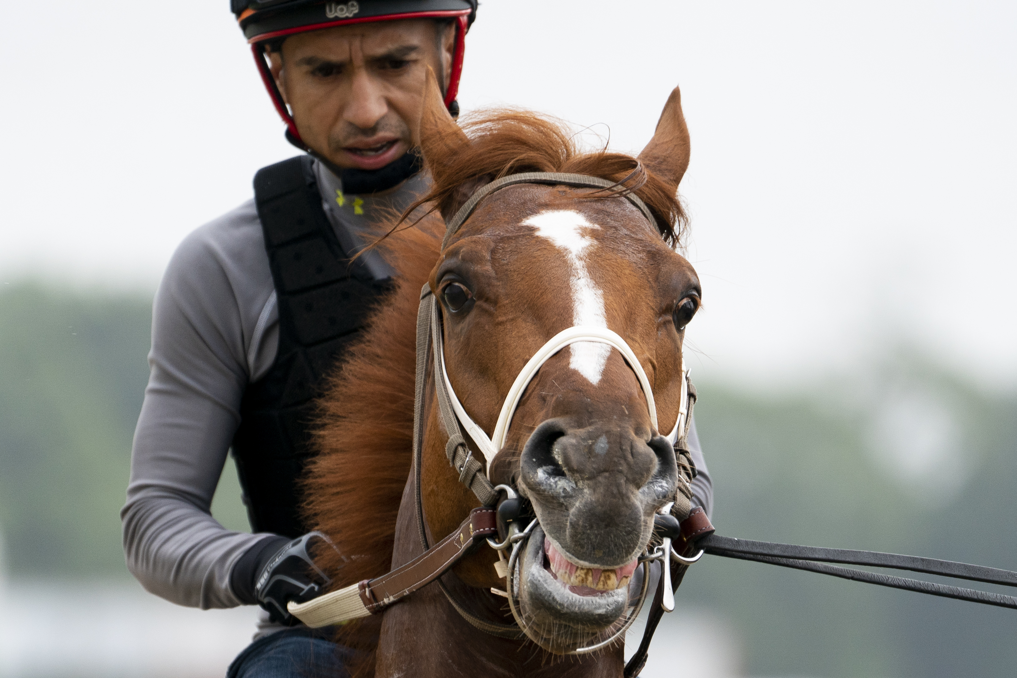 More 80-to-1 long shots in sports after Rich Strike Kentucky Derby win