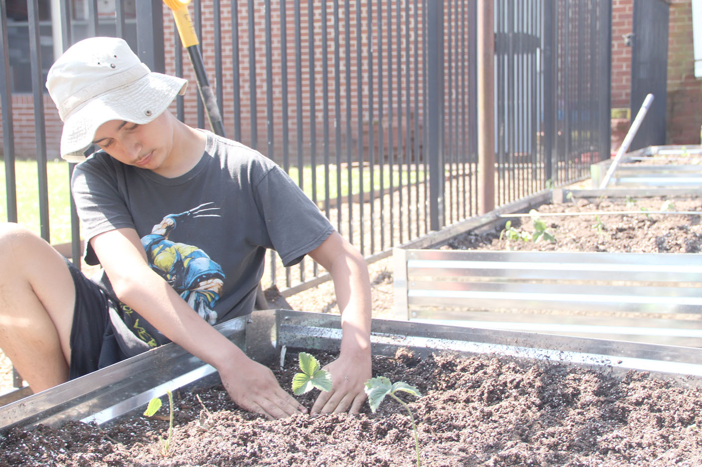 Raised bed garden will supplement middle school meals in Lincoln