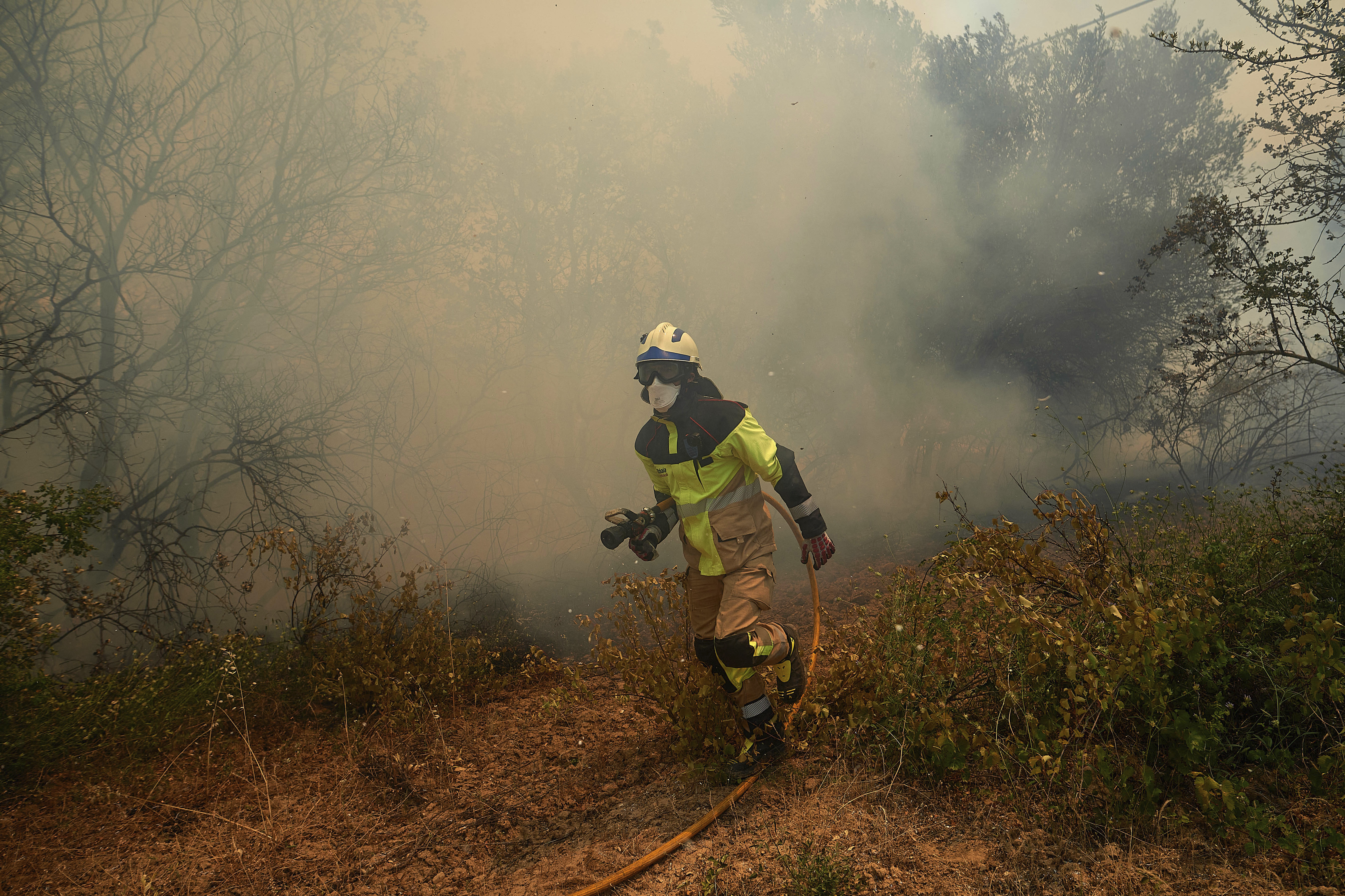 Spain, Germany battle wildfires - Vimarsana News