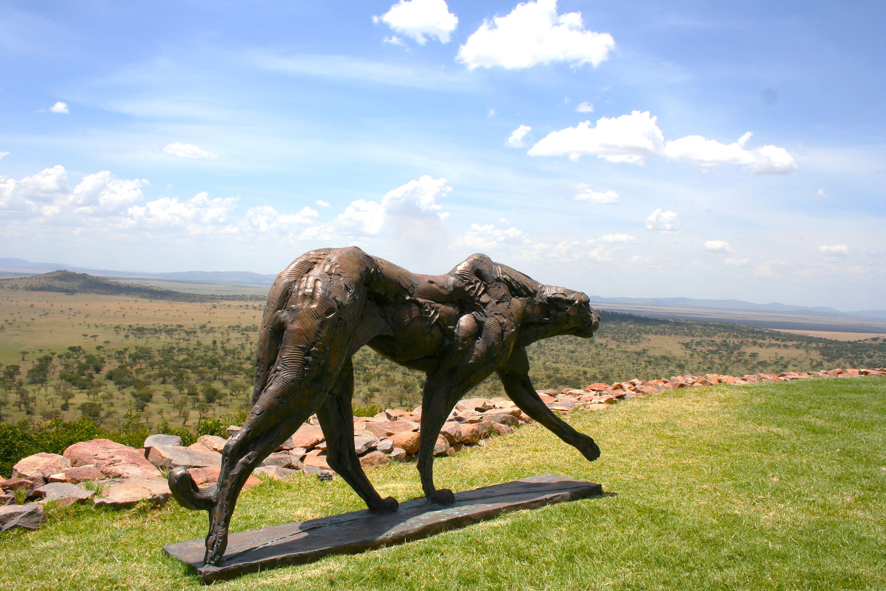 Wild meets serene in Tanzania's Grumeti reserve - Vimarsana News
