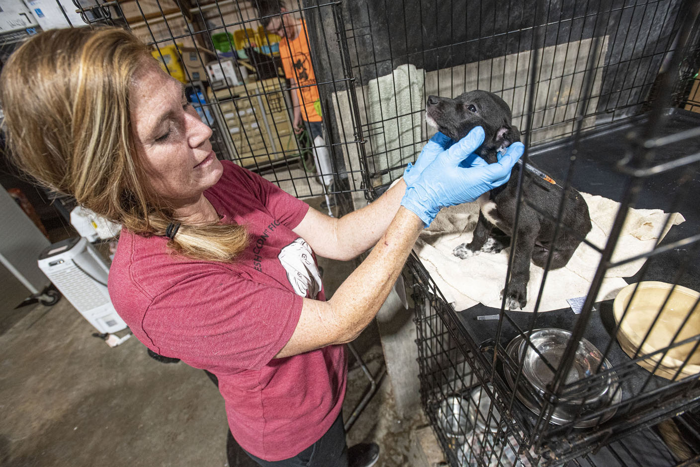 Sebastian County animal rescue voices pet overpopulation concerns, possible solutions - Vimarsana News