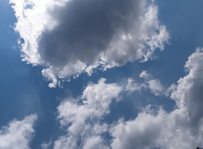 bella-vista-weather-forecast