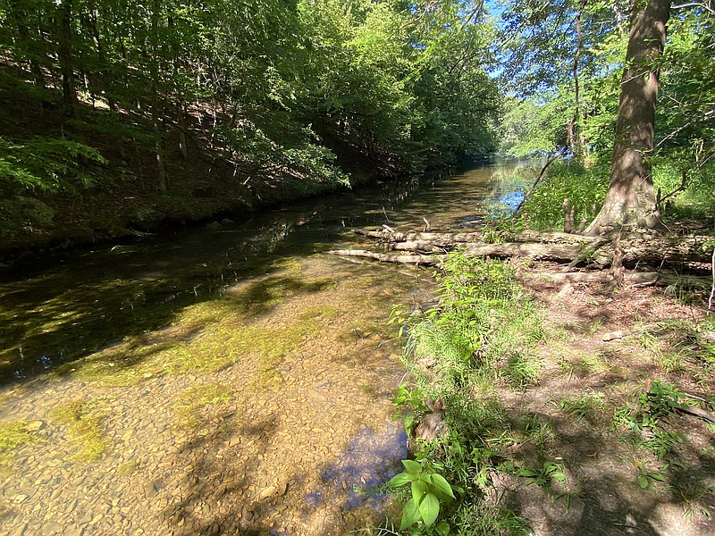 WATCH: Slunger Creek Nature Trail an easy way to enjoy the outdoors ...