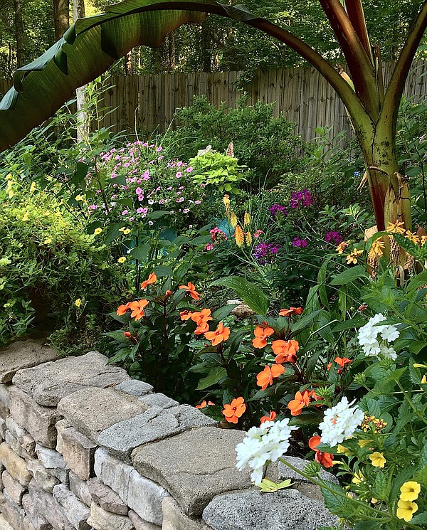 Luminary Sunset Coral creates a new phlox fanatic - Vimarsana News