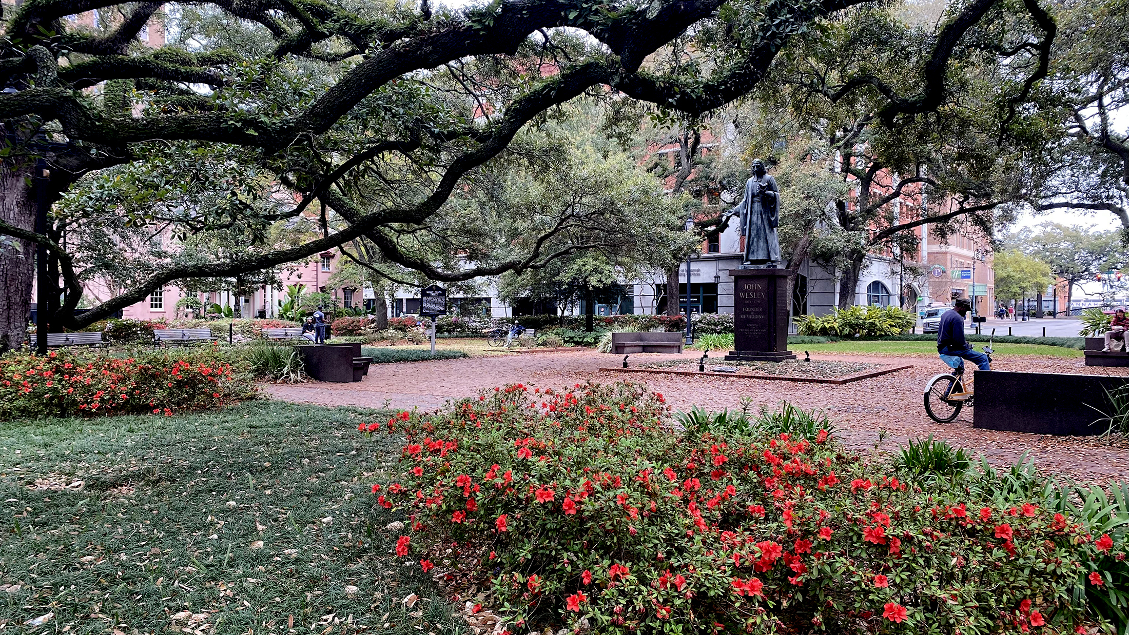 Savannah keeps past alive while embracing change - Vimarsana News