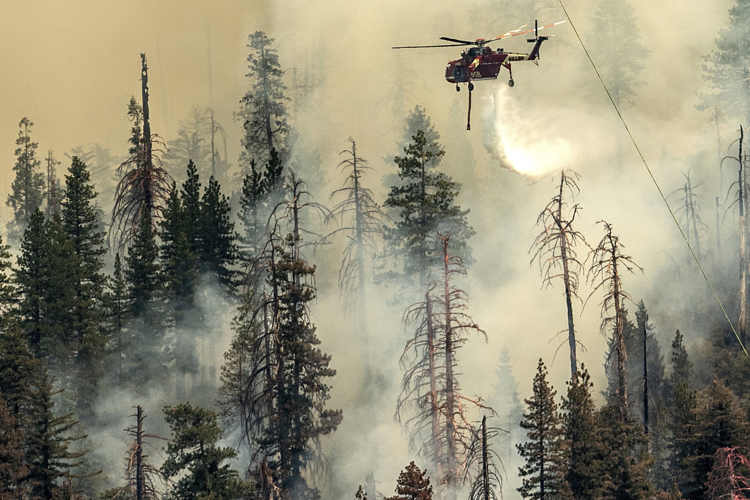 Wildfire threatens Yosemite sequoias - Vimarsana News