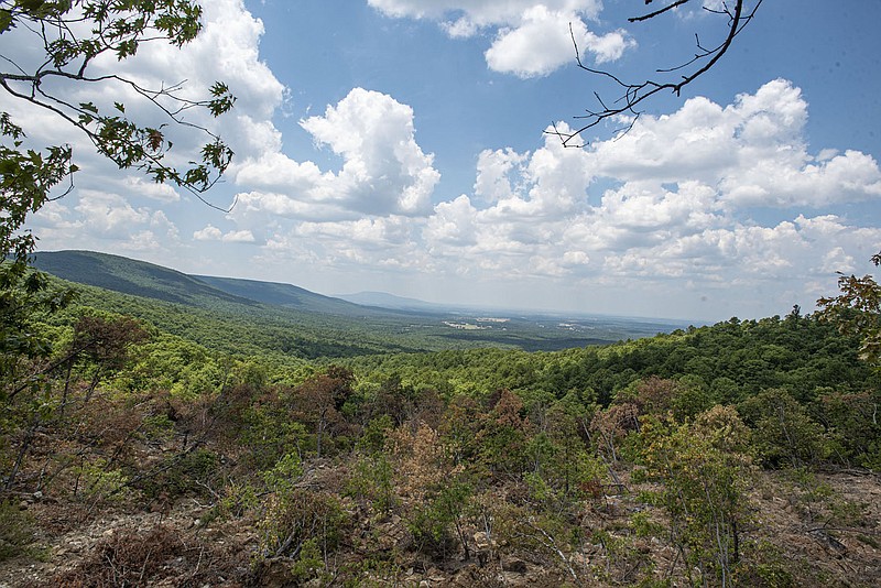 A landscape is seen on Friday, July 15, 2022, at the Sugarloaf Mountains-Midland Peak Natural Area in Hartford. The Arkansas Natural Heritage Commission purchased 1,191 acres in south Sebastian County to create this natural area in late May. Visit nwaonline.com/220717Daily/ for today's photo gallery.
(NWA Democrat-Gazette/Hank Layton)