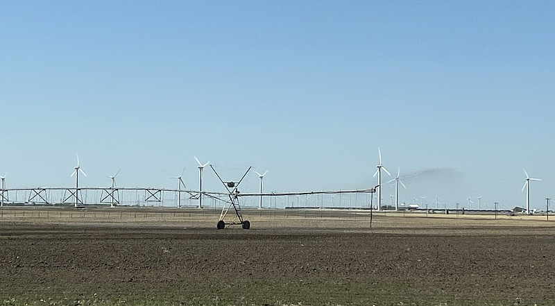 Many of the abandoned cotton acres in 2022 were in west Texas. Shown is a field in Roscoe, Texas, being irrigated May 21, 2022. (Special to The Commercial/Mary Hightower, University of Arkansas System Division of Agriculture)