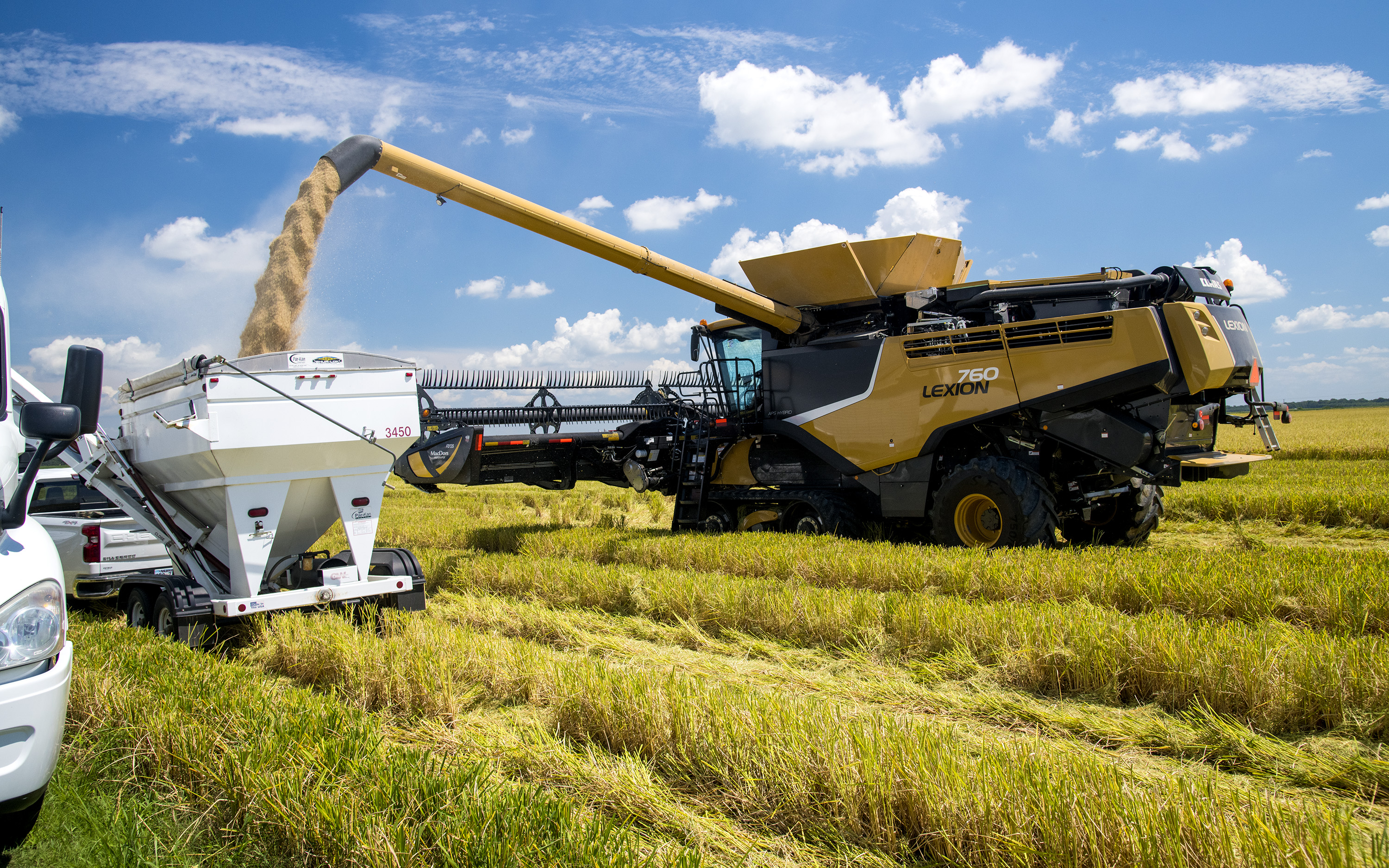 Rice Baseline Report adds to U.S. Farm Bill