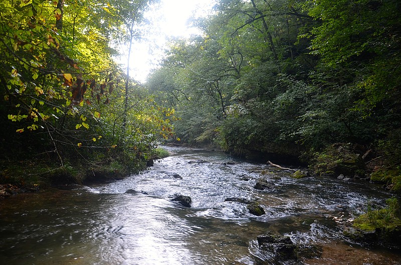 Missouri’s Mark Twain National Forest offers outstanding recreational opportunity Fulton Sun