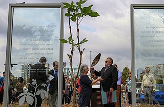Clinton Presidential Center's Anne Frank tree, planted in 2015 ...