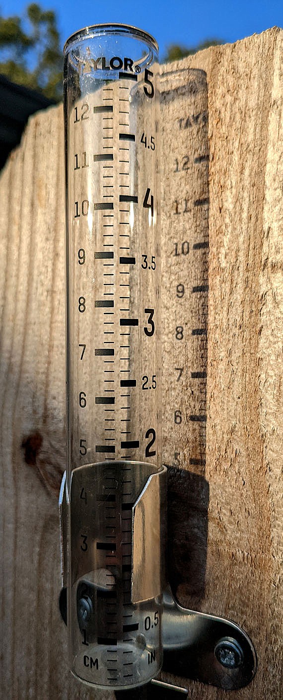 Westside Eagle Observer/RANDY MOLL
Rain gauges in Gentry continued to remain empty and dry on Sunday after weeks of hot and dry weather. However, the possibility of showers is in the forecast for today and the second half of this week.