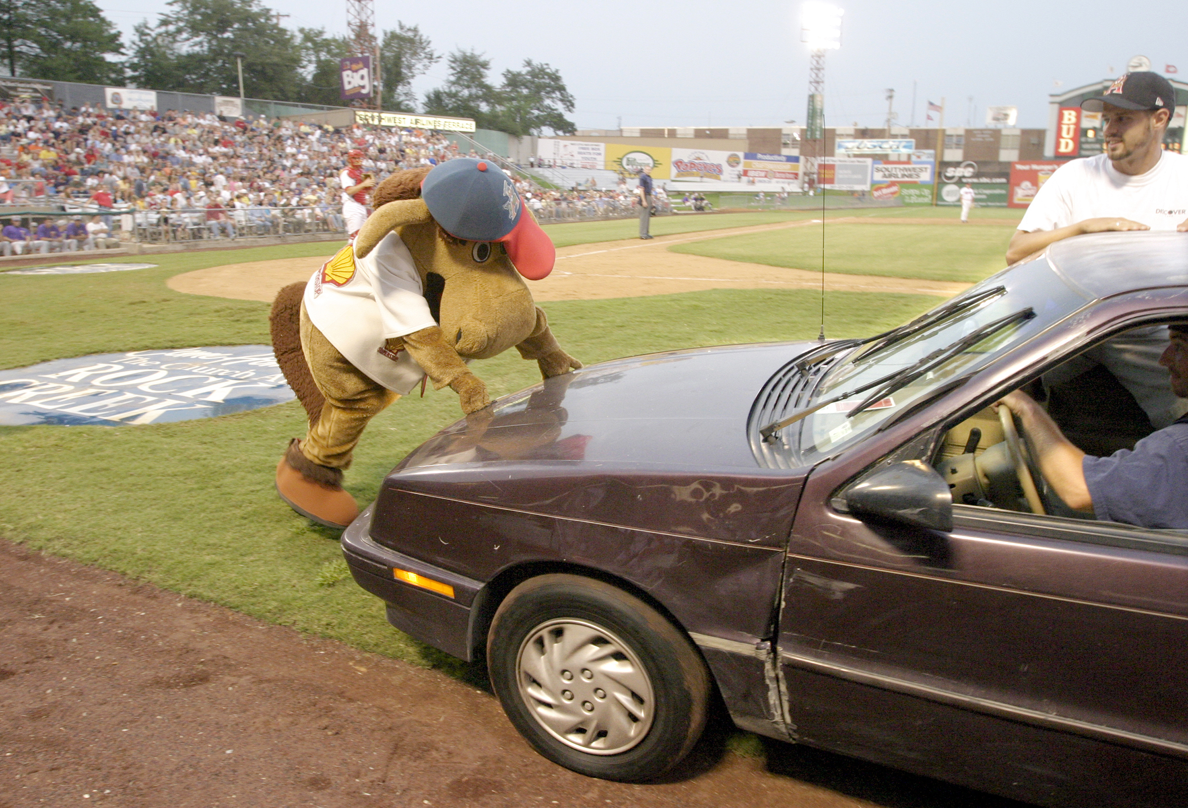 Remember when Arkansas Travelers' mascot was a baggy, fake-fur horse? - Vimarsana News
