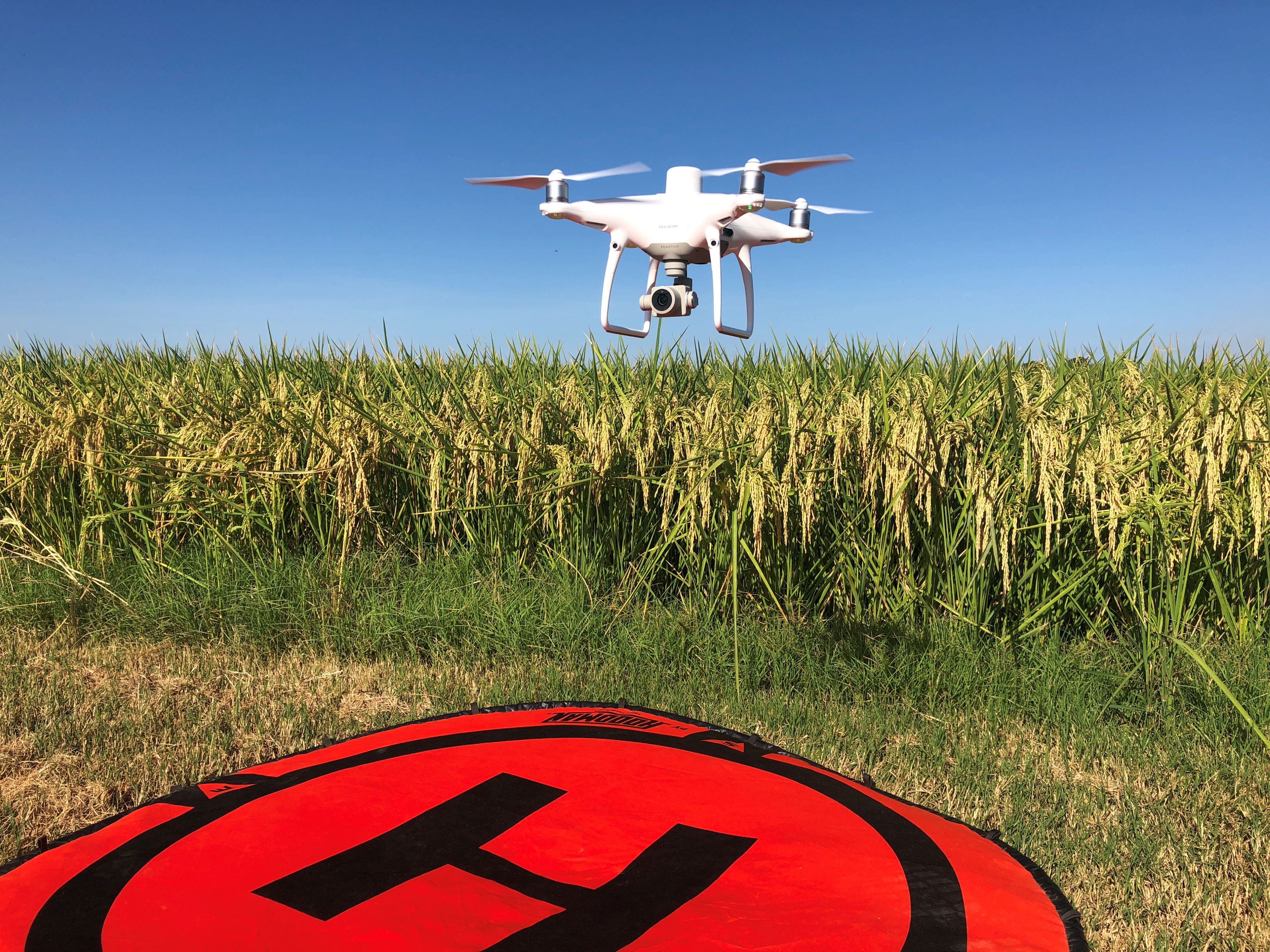 Drones aid in farm efficiency across Arkansas, U.S.