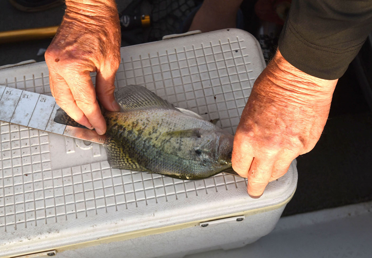 Catch more crappie with rod holders - by Brad Wiegmann