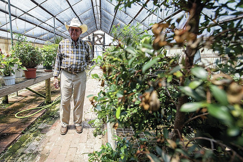 Bill Neumeier, 83, walks around a greenhouse on Wednesday, July 13, 2022, at Neumeier Nursery and Greenhouses in Fort Smith. After 54 years in business, Neumeier and wife Jody announced they will be retiring and closing up shop at the end of this month. The couple opened the business across the street from its current location at 3327 North O Street in 1968. Having started with just two greenhouses and a cold frame, they eventually expanded to the 5.7-acre property in 1976, adding more greenhouses and turning a carriage house for horses into a floral and gift shop. In addition to having their children help run the business over the years, the Neumeiers employ 10 part-time and full-time staff members, including one who has been working there for 34 years. In honor of their retirement, the Neumeiers have been discounting up to 75 percent off their products over the final weeks until the business closes. Visit nwaonline.com/220714Daily/ for today's photo gallery.
(NWA Democrat-Gazette/Hank Layton)