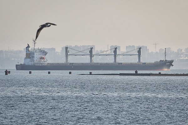 3 more ships with grain depart Ukraine ports under UN deal - Vimarsana News