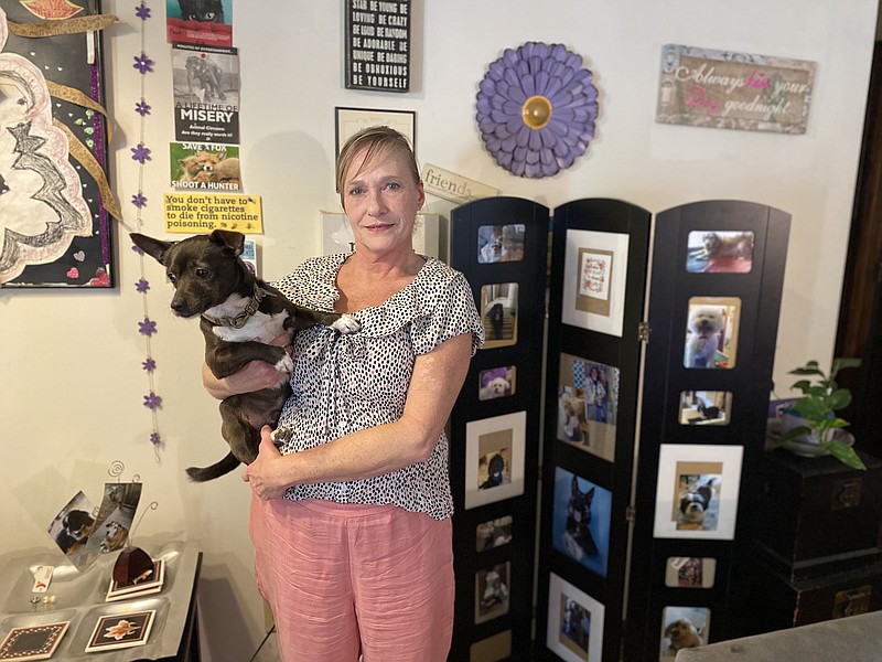 Accent Pets owner Christine Mott offers several services for dogs, from grooming to daycare. (News Tribune/Cameron Gerber).