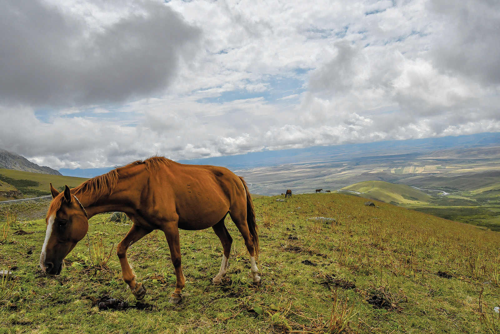 Fermented horse milk season on in Kyrgyzstan The Arkansas Democrat