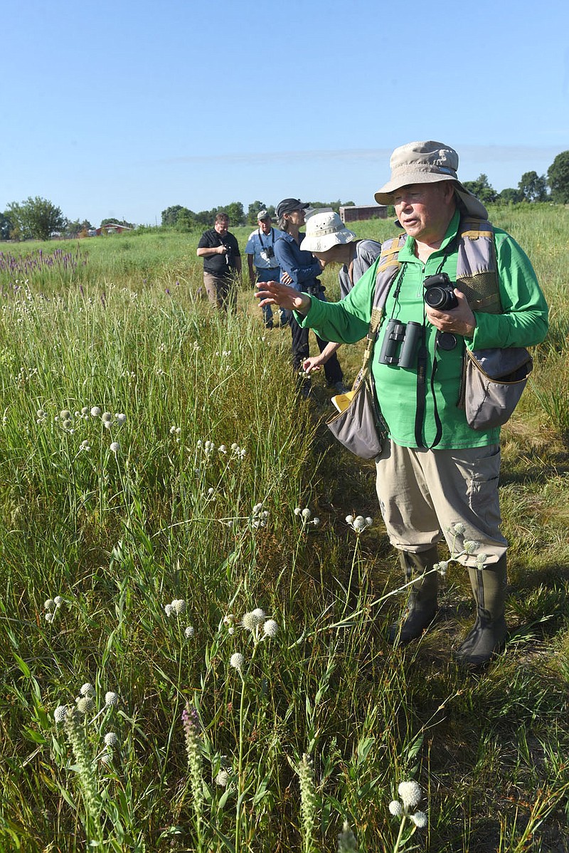 Bees, Butterflies, Prairie Blossoms | Northwest Arkansas Democrat-Gazette