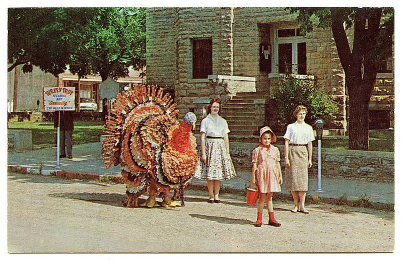 Arkansas Postcard Past The Arkansas DemocratGazette Arkansas' Best