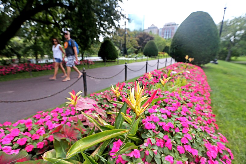 What Are Boston's Most Romantic Places? | Texarkana Gazette