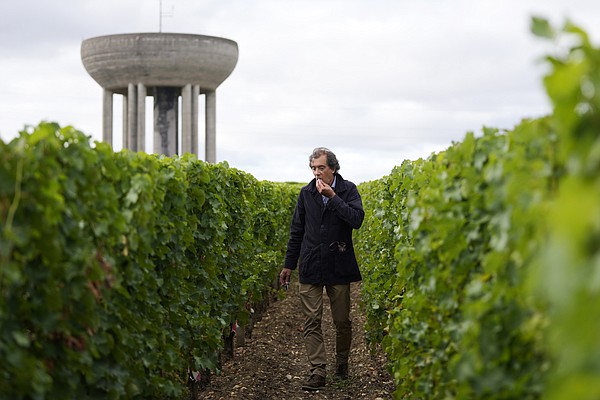 Drought forces earliest harvest ever in French wine country - Vimarsana News