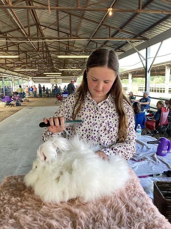 District fair tradition carries on for 83rd year - Vimarsana News