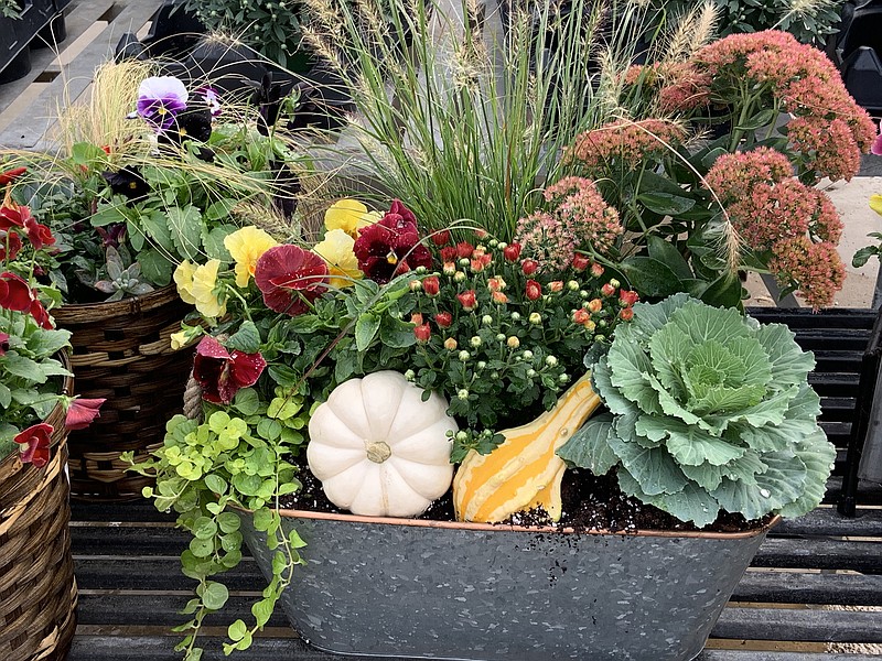 Options for fall color range from sturdy gourds and bright mums to cool-season vegetables and replanted summer crops. (Special to the Democrat-Gazette/Janet B. Carson)