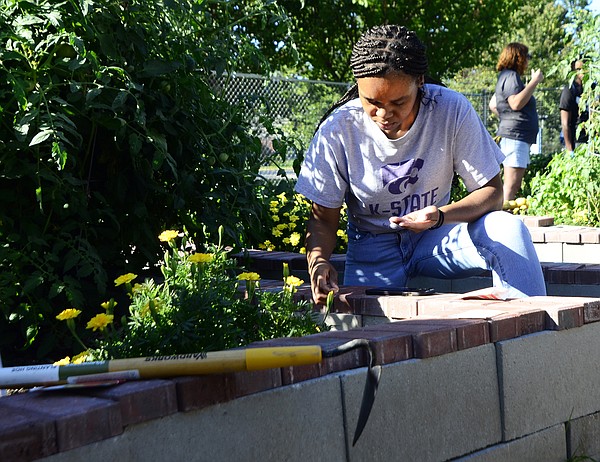 Lincoln University ag students get hands-on learning - Vimarsana News