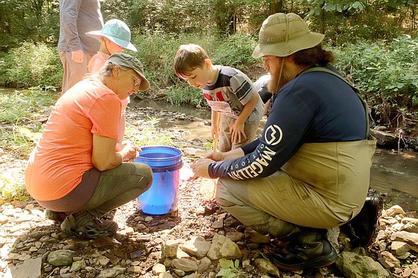 Historic Cane Hill program participants learn about creatures in the creek - Vimarsana News